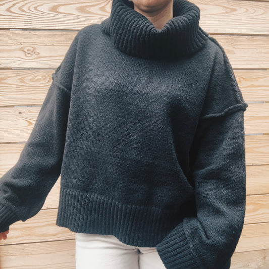 Ebony Chunky Turtleneck Cozy Sweater